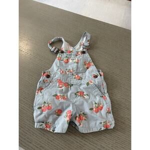 Oshkosh B’Gosh Girl Peach Themed Overalls Shorts Size 3T. EUC.
